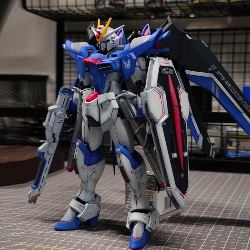 Bandai Gundam Rg - 1/144 HG スケールメカプラスチックモデルキット xfs SEED Rising