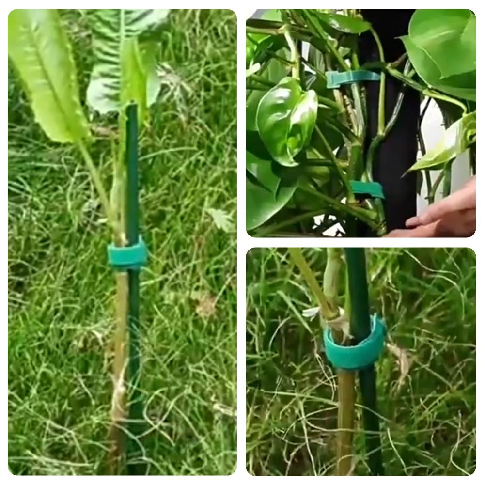 100個入り 再利用可能 調整可能 滑り止めナイロン製植物結 - Velcro Hook Loop のレビューと価格